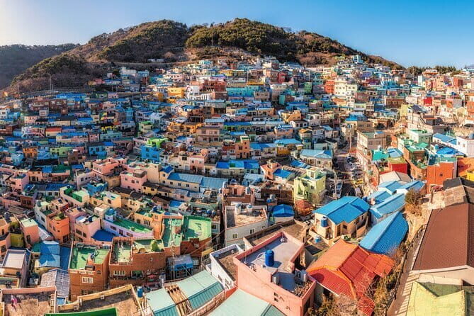 1-Day Busan Shore Excursion – City Highlights for Cruise Guests - Cruise-day logistics: how this tour beats the usual shore-excursion headache