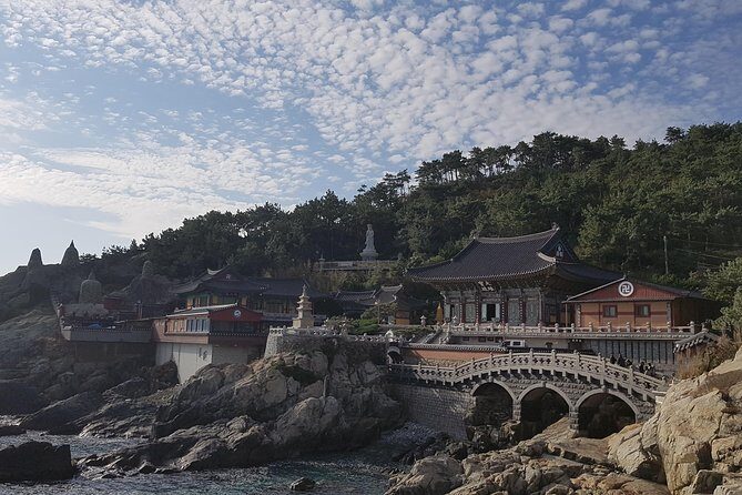 9-Days Tasty Journey Around South Korea Tour - Day 4: Tongyeong Jungang Market, Cable Car to Mt Mireuksan, and Busan Night Views