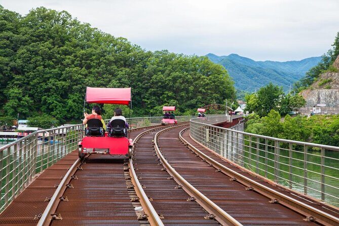 Alpaca World and Nami Island with Gangchon Rail Bike Tour - Alpaca World near Seoul: fluffy animals and a real explanation
