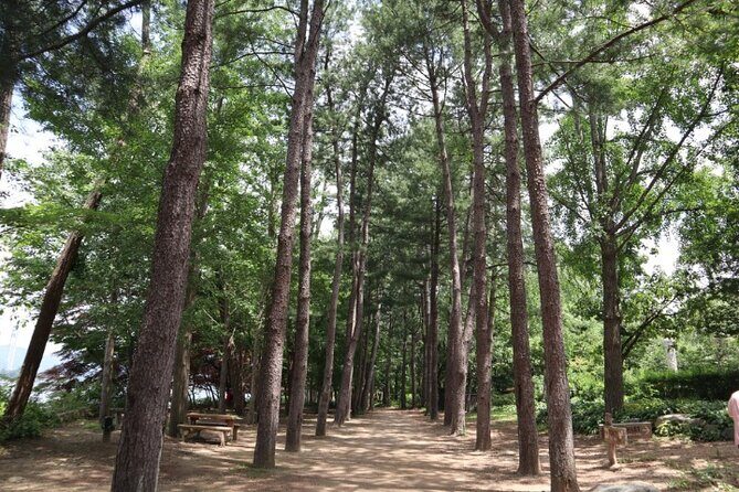 Alpaca World and Nami Island with Gangchon Rail Bike Tour - Lunch and small surprises that keep the day feeling local