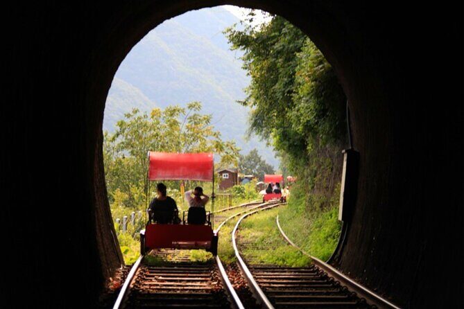 Alpaca World and Nami Island with Gangchon Rail Bike Tour - Who this tour fits best