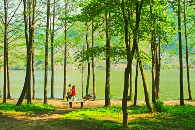 Alpaca World and Nami Island with Gangchon Rail Bike Tour - Nami Island: tree-lined charm, Winter Sonata fame, and limited time
