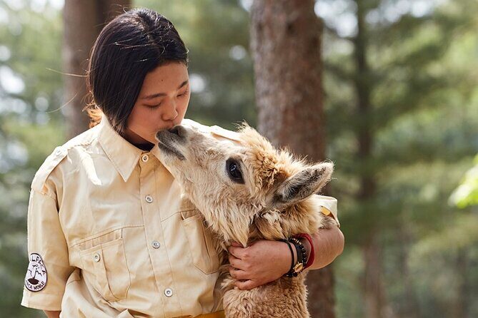 Alpaca World & Nami Island & Garden of Morning Calm One Day Tour - A One-Day Seoul Escape With Three Very Different Vibes
