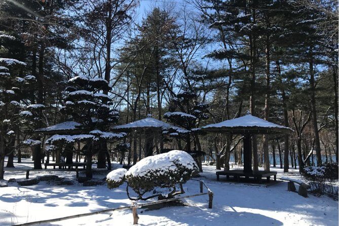 Alpaca World & Nami Island & Garden of Morning Calm One Day Tour - Lunch Break: What’s Included and What You Need to Plan
