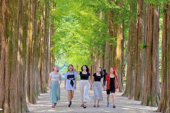 Alpaca World & Nami Island & Garden of Morning Calm One Day Tour - What This Tour Is Best For (and When to Choose Another Option)