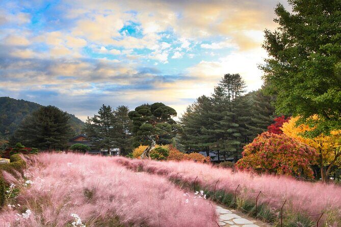 Alpaca World Tour with Nami Island (optional Railbike or Garden) - Gangchon Rail Park rail bike: scenery, speed control, and timing