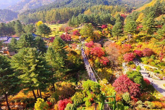 Alpaca World Tour with Nami Island (optional Railbike or Garden) - Garden of Morning Calm: a classic garden, plus winter light festival