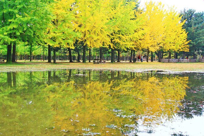 Alpaca World Tour with Nami Island (optional Railbike or Garden) - The Stay Healing Park: Starlight Festival in the dark