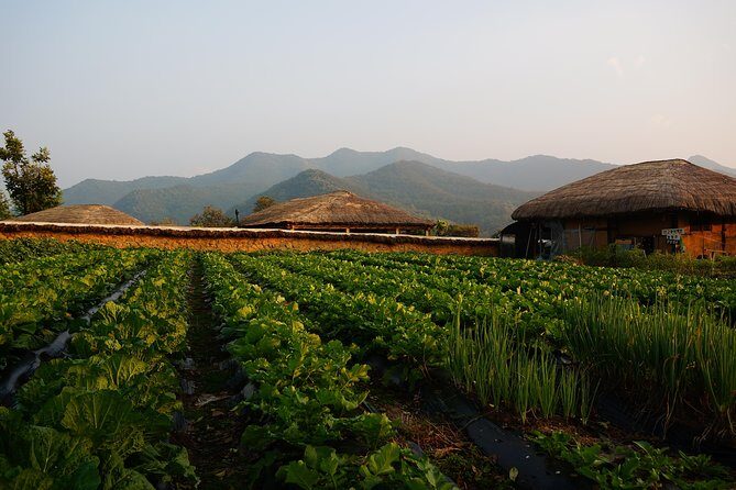 Andong Hahoe Village [UNESCO site] Premium Private Tour from Seoul - Best for families, history fans, and anyone tired of logistics