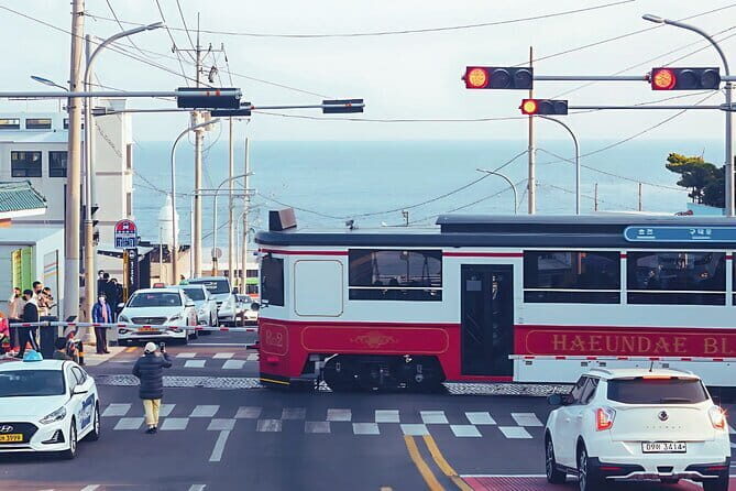 Authentic Busan Full-Day City Highlights Tour - Key things to know before you go