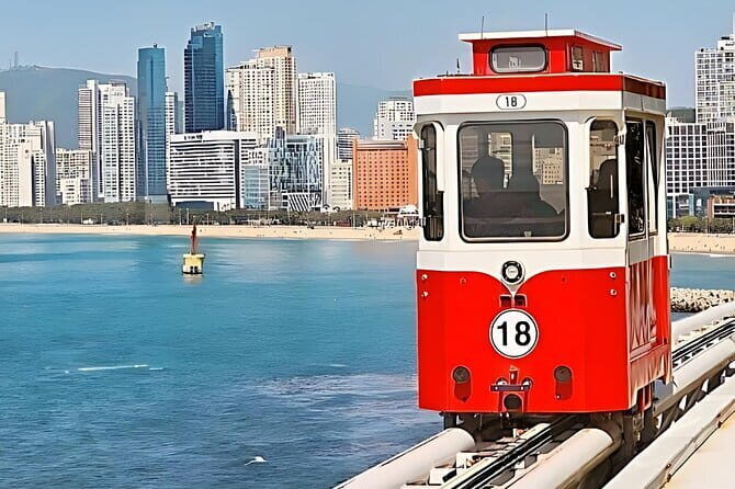 Authentic Busan Full-Day City Highlights Tour - How the day is paced (and why it feels worth the $40.51)