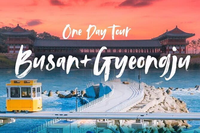 Authentic Busan Full-Day City Highlights Tour - The UN Memorial Cemetery: a quiet hour with real weight