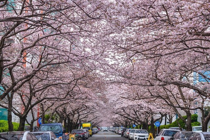 Authentic Busan Full-Day City Highlights Tour - Gamcheon Culture Village: hillside wandering (and why 2 hours matters)