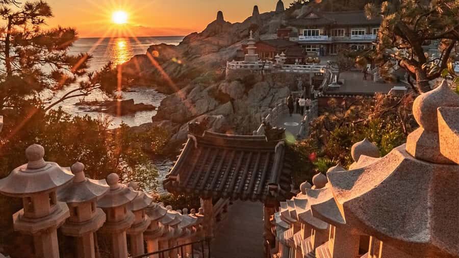 Busan: A Well-Rounded Small-Group Tour with Certified Guide - A one-day Busan best-of route that actually hangs together