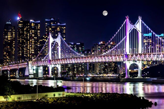 Busan by Night - Who This Tour Suits Best (And Who Might Want Another Plan)