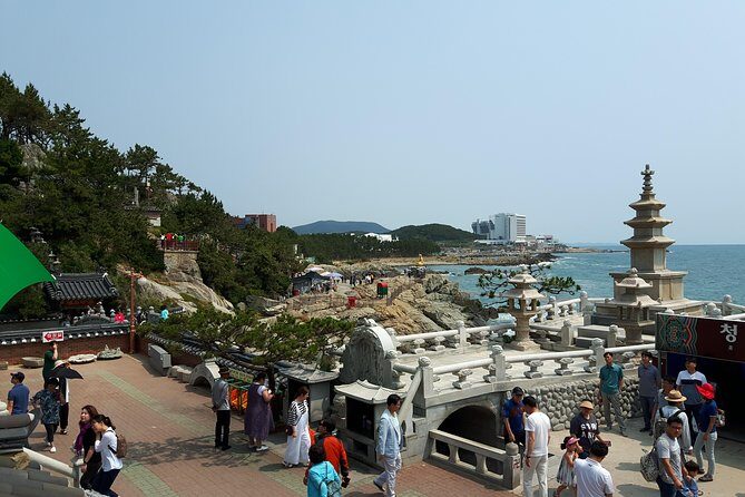 Busan city tour from Seoul by KTX bullet train - Price and Logistics: what $415 buys you