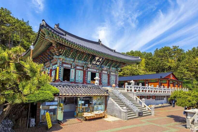 Busan: Coastal Treasures Beach Train, Culture Village & More - Mipo Station lunch and free time: eat like you’re in Busan