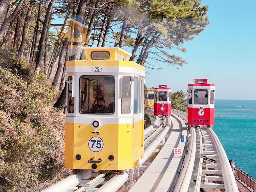 Busan: Coastal Wonders & Cultural Gems Tour opt. Sky Capsule - Price and value: what $34 buys you