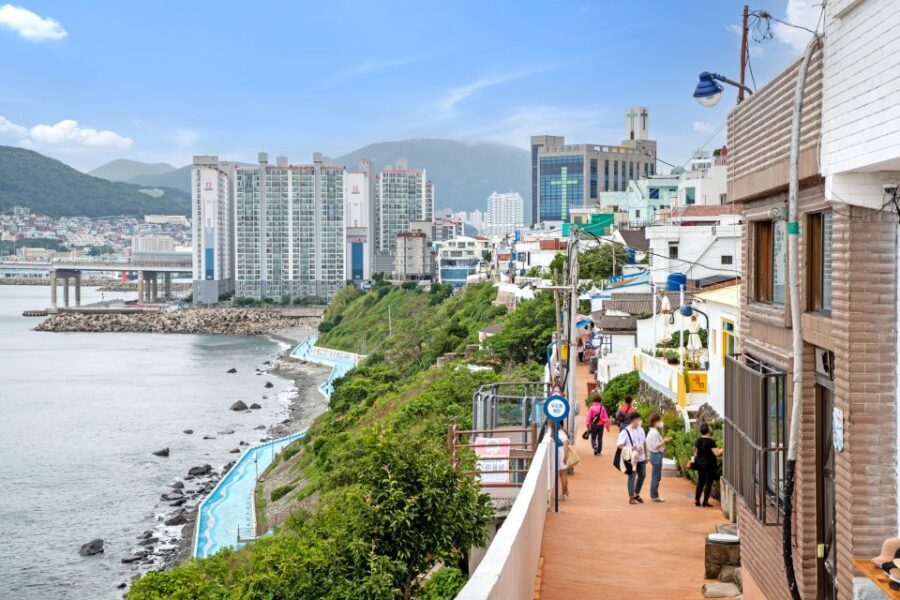 Busan: Coastal Wonders & Cultural Gems Tour opt. Sky Capsule - Lunch break: plan to pay for your own meal