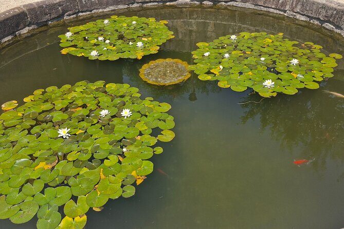 Busan Comfortable Private Tour For 4hours - The value math: private pricing for up to 5 people