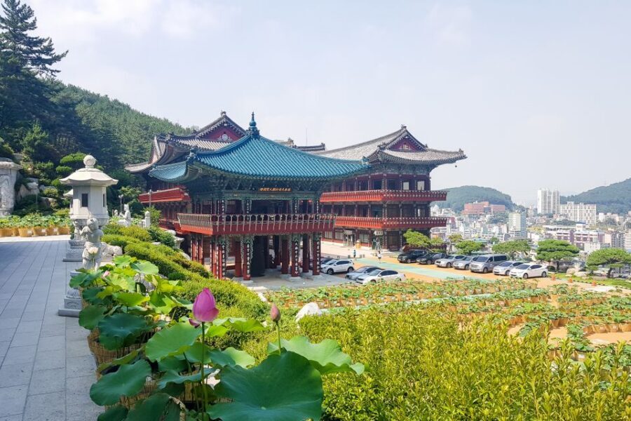 Busan: Day Trip with Gamcheon Culture Village and Sky Walk - Lunch plus snack-adjacent local food stops