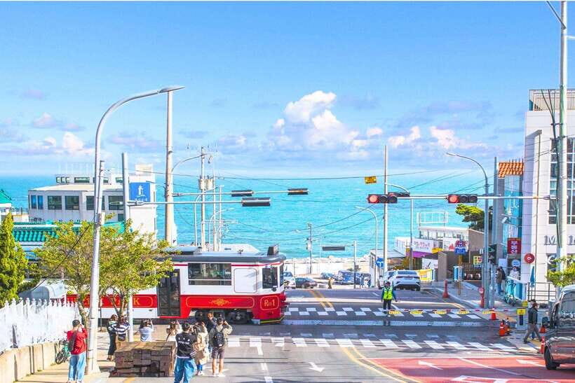 Busan: Full-Day City Tour with Taejongdae, Gamcheon & More - Taejongdae Park and the Danubi Train: cliff views with less effort