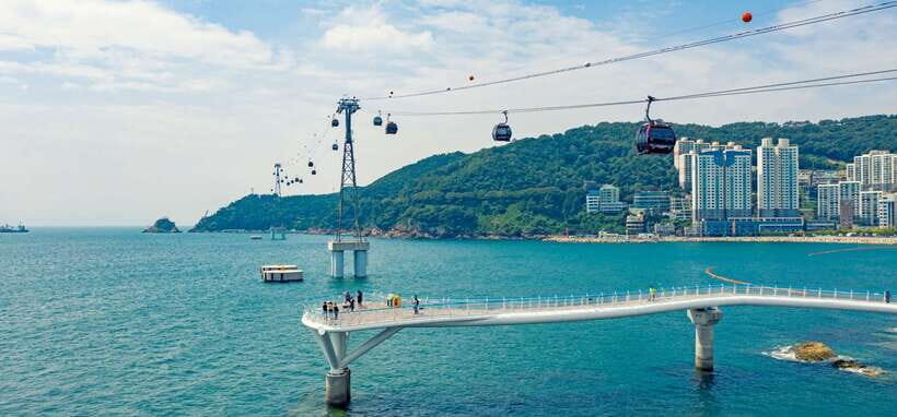Busan: Full-Day City Tour with Taejongdae, Gamcheon & More - Lunch break in the Taejongdae area: plan around limited choice