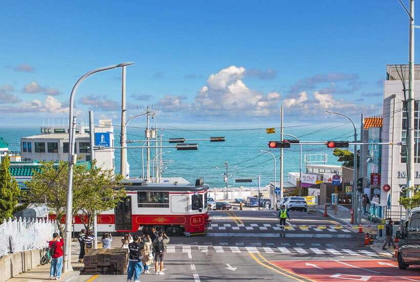 Busan: Full-Day City Tour with Taejongdae, Gamcheon & More - Getting dropped where you actually need to go