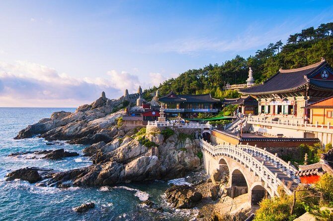 Busan: Fully Customizable Private Tour - Key Points You’ll Care About