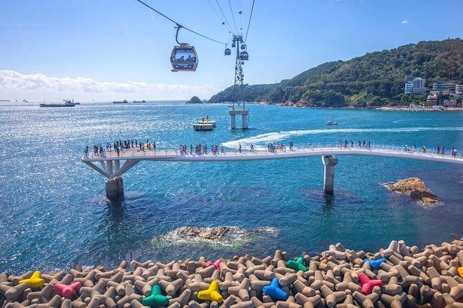 Busan: Fully Customizable Private Tour - The 9.5-Hour Flow: Pickup, Touring, and Drop-off