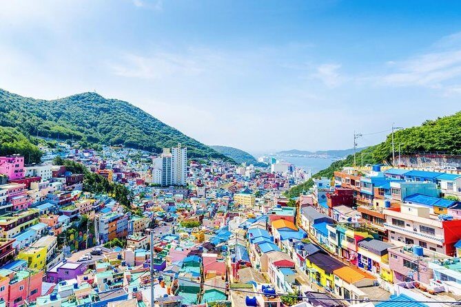 Busan: Fully Customizable Private Tour - What You Should Budget For (Beyond the Ticket Price)