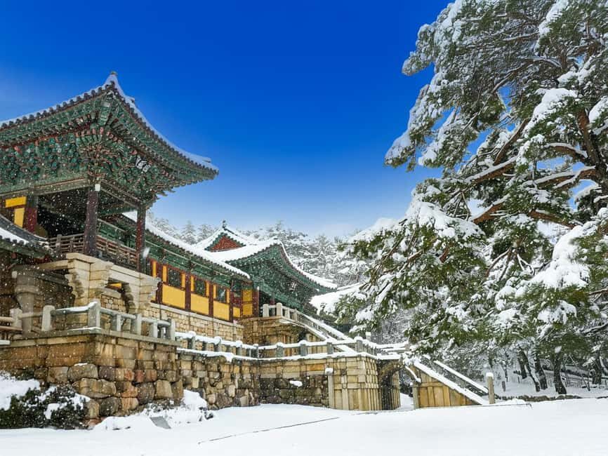 Busan: Gyeongju UNESCO Legacy Tour with National Museum - Key points before you go