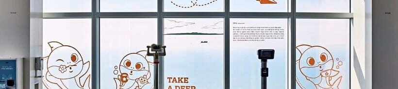 Busan: Haeundae LCT Tower 'X the Sky' Entry Ticket - Shocking Bridge: the view that drops your stomach (a little)