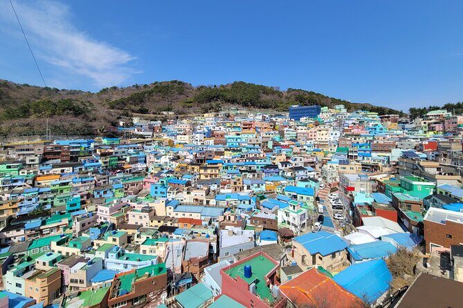 Busan Half-Day Customizable Private Tour in English - Key highlights that make this tour work