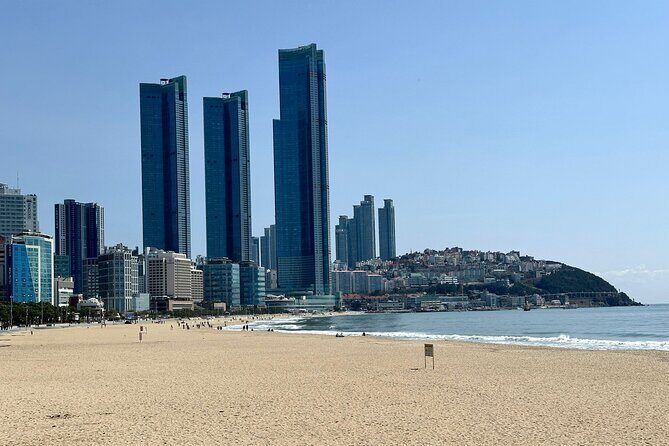 Busan Half-Day Customizable Private Tour in English - Price and what you’re really buying (the practical value)