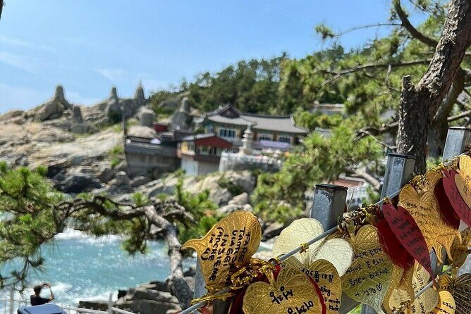 Busan Hidden Gems Private Tour and Car Service - How the Guide Changes the Whole Day (Names You Might Be Matched With)