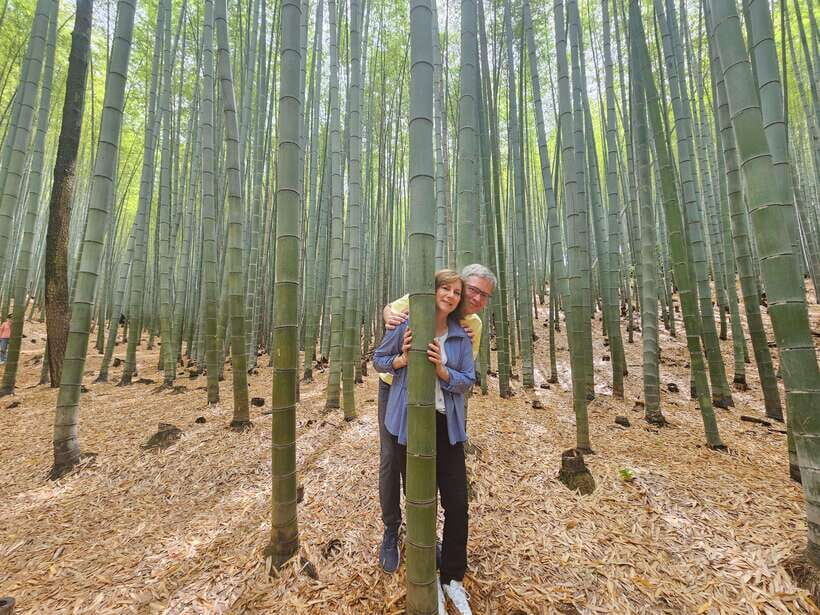 Busan: Hidden Gems Private Tour with a Certified Guide - Key points that make this tour click