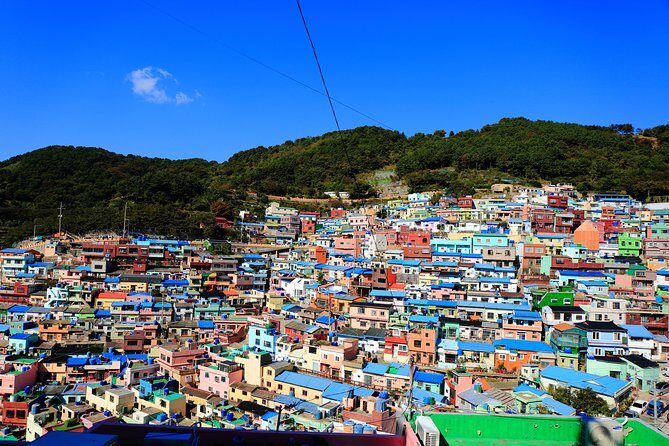 Busan Highlights Shore Tour – Cruise Return Assured - Port Pickup and Return: The Real Value of Booking a Ship-Friendly Tour