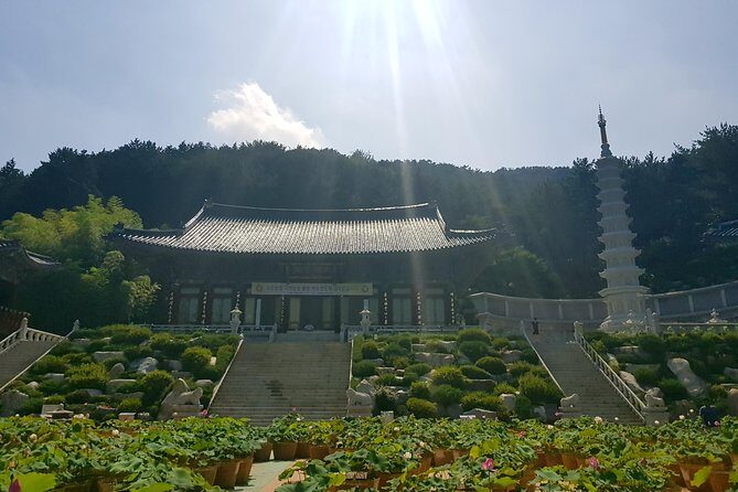 Busan Highlights Shore Tour – Cruise Return Assured - BIFF Square and the Market Triangle: Gukje Market to Jagalchi