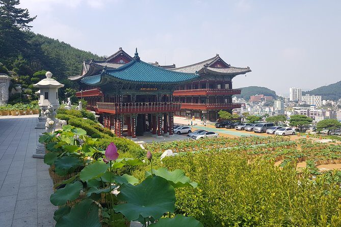 Busan Highlights Shore Tour – Cruise Return Assured - Hwangnyeongsan Observatory: When Busan Turns Into a Panorama