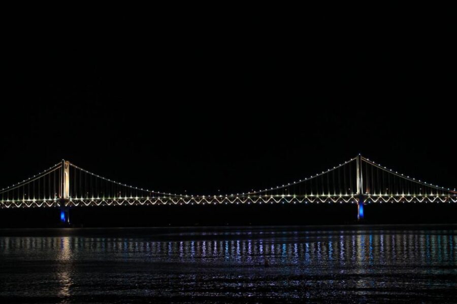 Busan: Night Viewpoints with Evening Cruise w/ Fireworks - Fireworks on board: fun, but manage the expectation