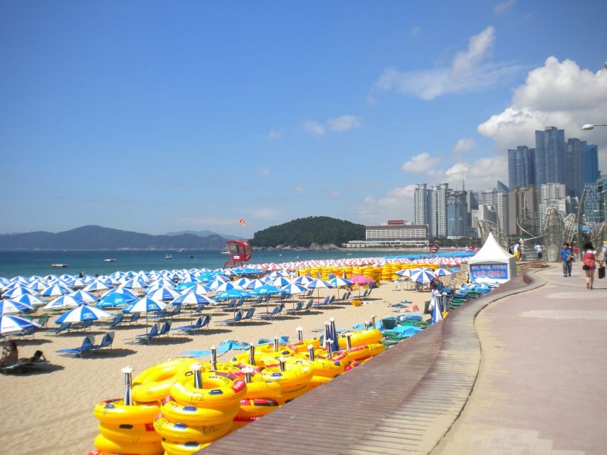 Busan Private Tour with a Local - Key highlights to know before you go