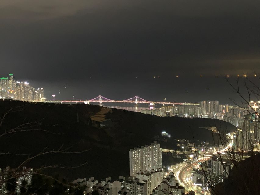Busan: The Best Night View Small Group Tour - Key highlights worth showing up for