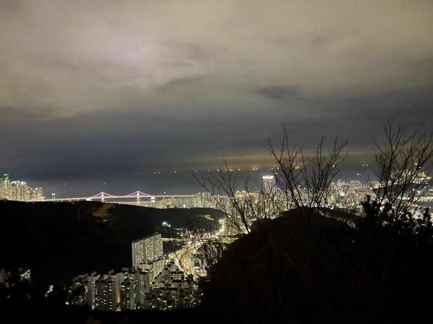 Busan: The Best Night View Small Group Tour - Who this tour fits best