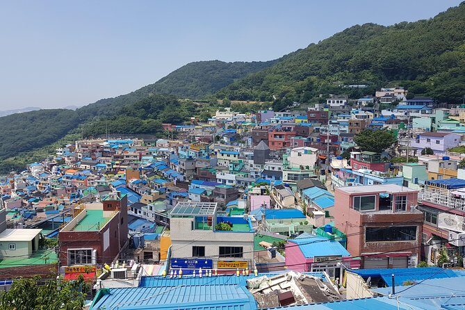 Busan Tour: Gamcheon Village & Haedong Yonggungsa Temple + Lunch - A one-day Busan highlights route that skips the logistics