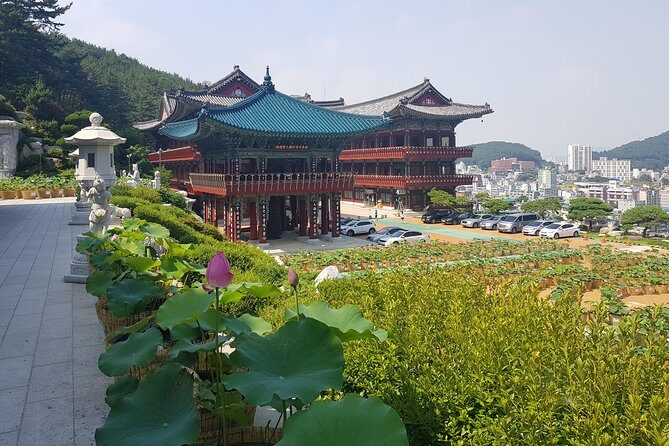 Busan Tour: Gamcheon Village & Haedong Yonggungsa Temple + Lunch - Lunch and small-group comfort on this $159.99 day