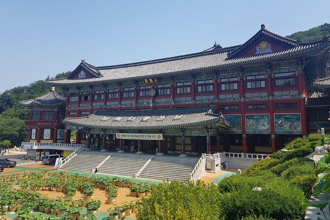 Busan Tour: Gamcheon Village & Haedong Yonggungsa Temple + Lunch - Final call: should you book this Gamcheon and Yonggungsa tour?