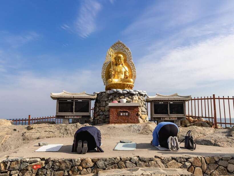 Busan's Best: Sea Temples, Yacht Tour & Sky Capsule Day Tour - Who should book this Busan day tour