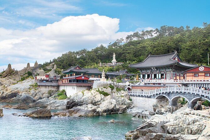 Busan's Cultural Wonders with Beach Train & Gamcheon Village etc - Gamcheon Culture Village: art on steep streets (with limited time)