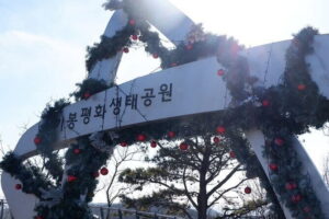 Closest Observatory to DMZ & Suspension Bridge Tour from Seoul - Aegibong Peace Eco Park: Hill 154, displaced families, and the Christmas-tree lesson